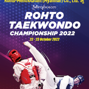 Taekwondo champion ship
