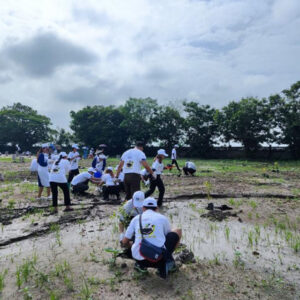 Planting